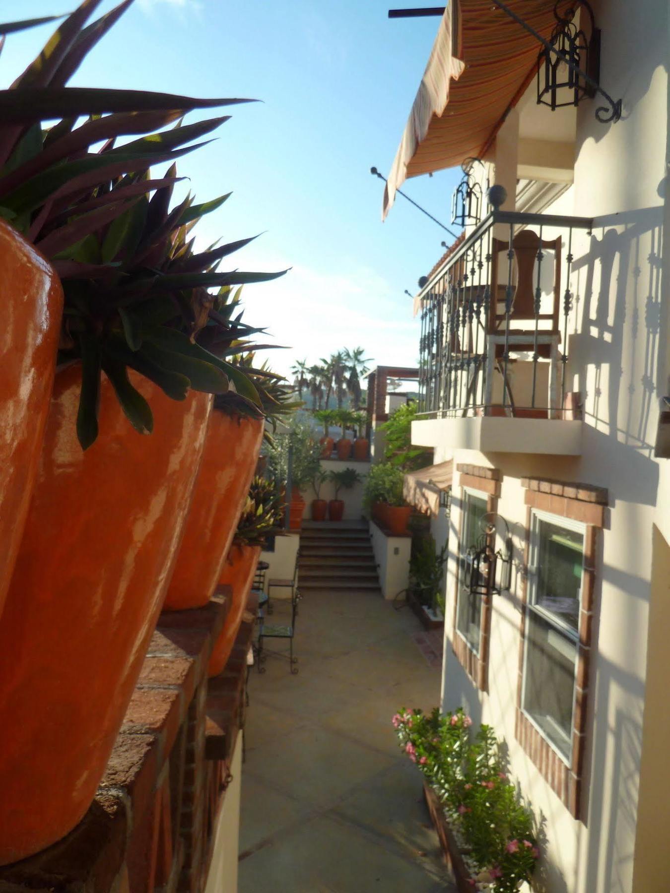 The Suites By Villa Valentina ซานโฮเซ เดล กาโบ ภายนอก รูปภาพ