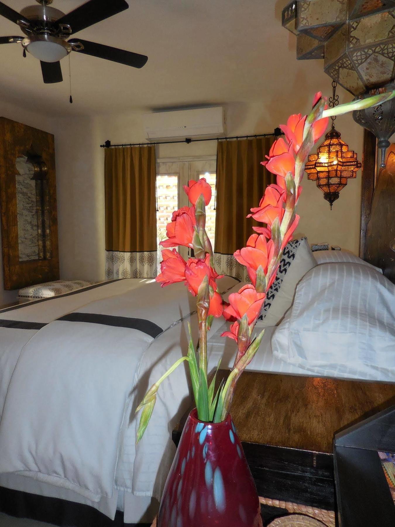 The Suites By Villa Valentina ซานโฮเซ เดล กาโบ ภายนอก รูปภาพ